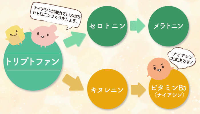 幸せホルモンを助けるビタミンb３ ナイアシン は身近な食品で摂取できます 不足するとウツと不安になりやすいので要注意 ココカラpark Byやずや