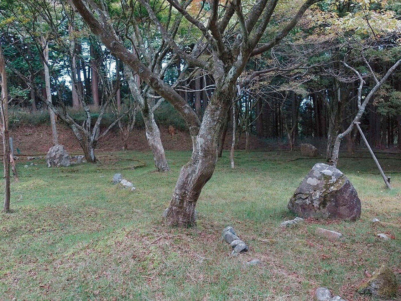 知られざる比叡山の魔所「狩籠の丘」/菅田正昭|webムー 世界の謎と不思議のニュース&考察コラム