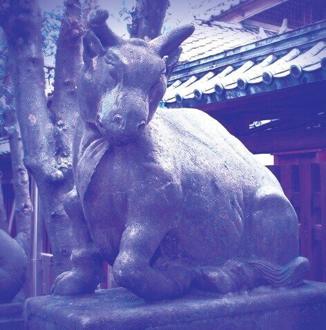画像3