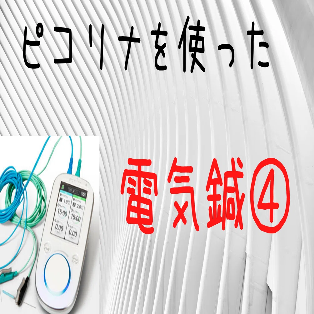 ピコリナ 未使用に近い セイリン ピコリナ の落札情報詳細 - Yahoo