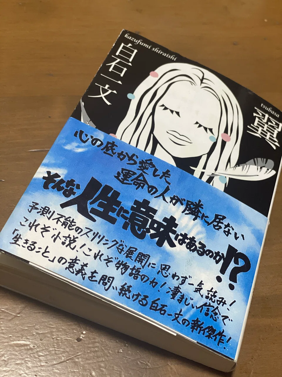 翼/白石一文｜菜穂ーなおー