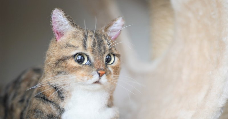 羊毛フェルトで上手に 猫顔 を作るコツ フェルトスタジオ Icchi S Room きたがわたけし Note