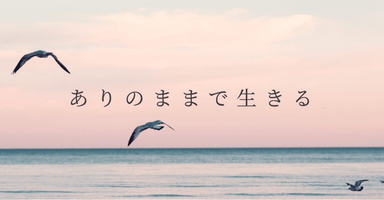 中村真紀プロフィール 中村真紀 Note 中村真紀プロフィール 中村真紀 Note