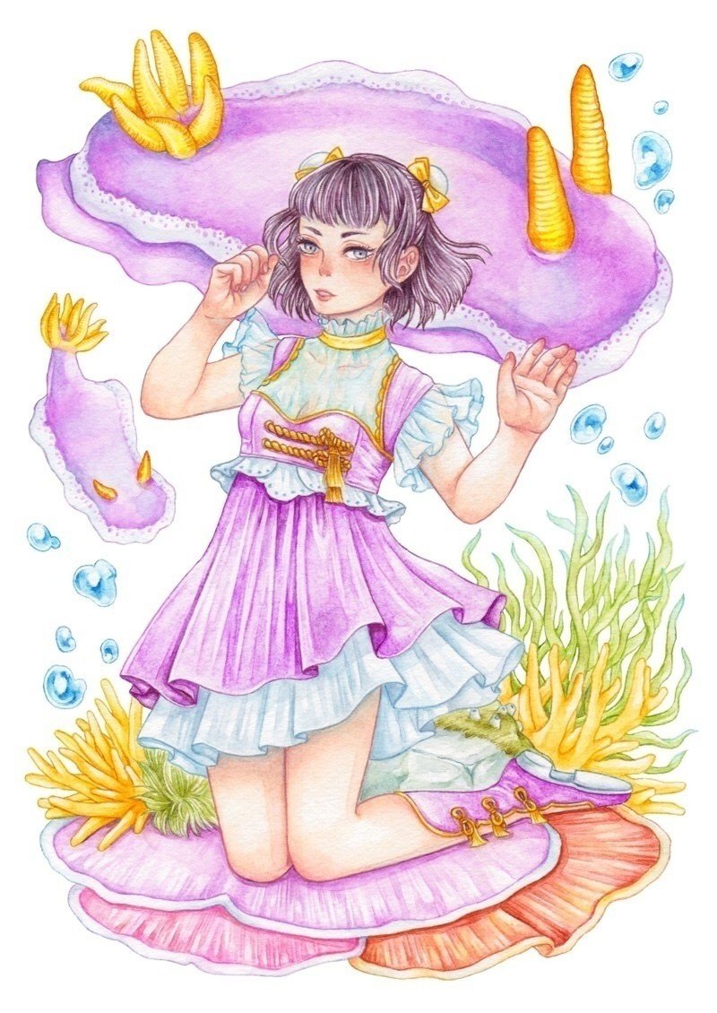 ウミウシ本制作予定です きゅーぽん Note ウミウシ本制作予定です きゅーぽん Note