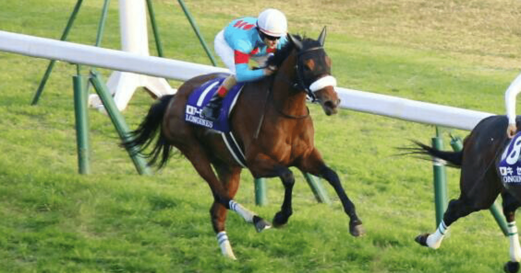 有馬記念スペシャルその1 アーモンドアイ世代の集大成へ たなゆー競馬 Note 有馬記念スペシャルその1 アーモンドアイ世代の集大成へ たなゆー競馬 Note