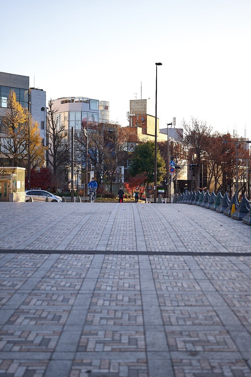 365日ライカ 221 ライカsl2 Sとアポズミクロンで早朝散歩 明治神宮 365leica Note