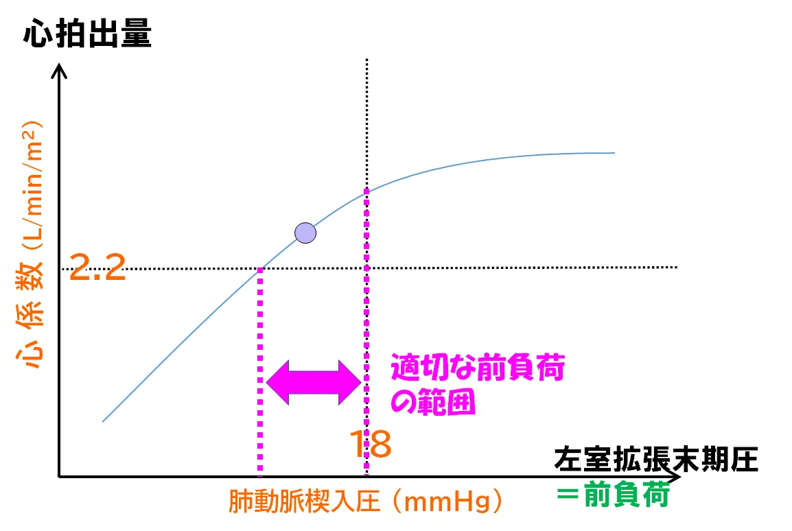 画像13