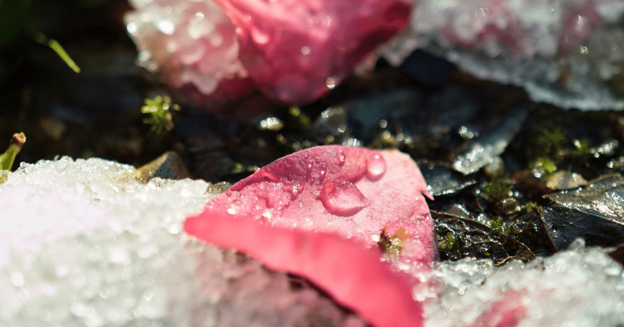 前向きポエム の新着タグ記事一覧 Note つくる つながる とどける