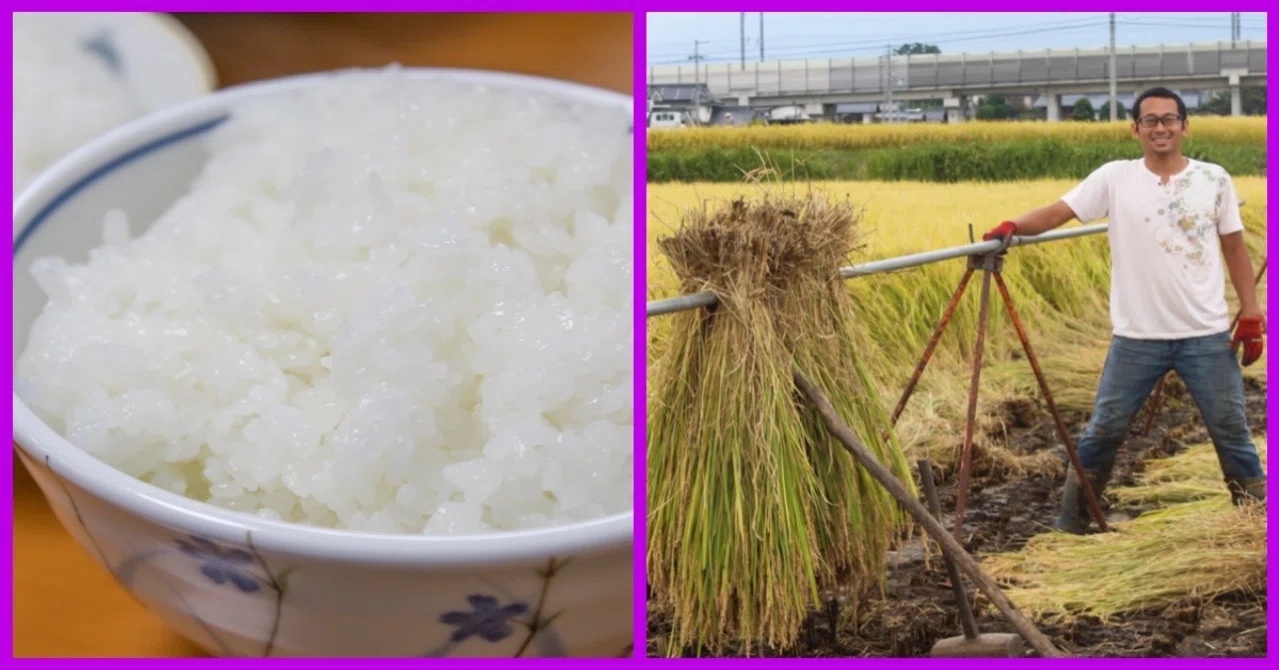 ☆おいしいハゼ掛け米／産地農家直送／長野県産コシヒカリ／玄米