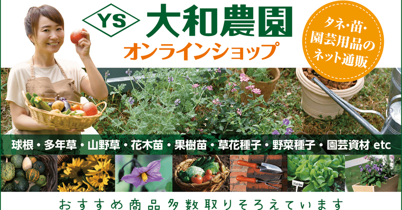 大和農園 春カタログ2021 奈良新聞社 公式 Note 大和農園 春カタログ2021 奈良新聞社 公式 Note
