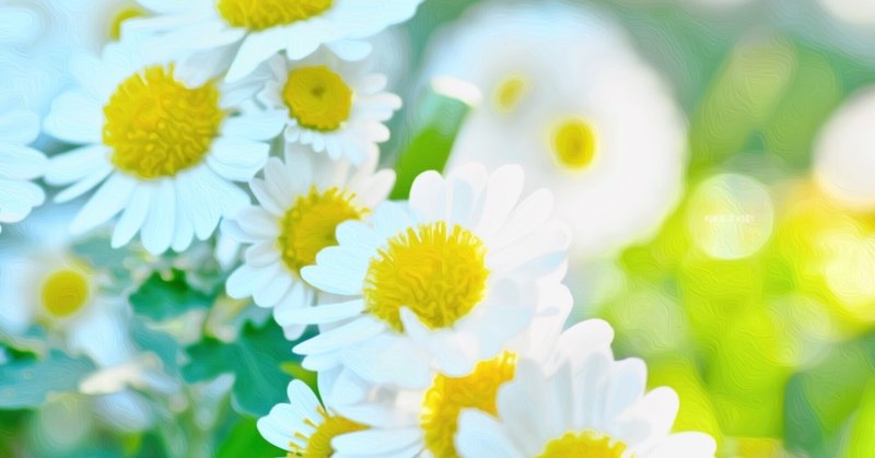 12月23日 誕生花は霜見草 誕生花短歌 御子柴 流歌 Note
