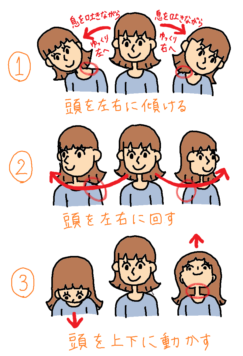 首のストレッチ（頭を動かす）