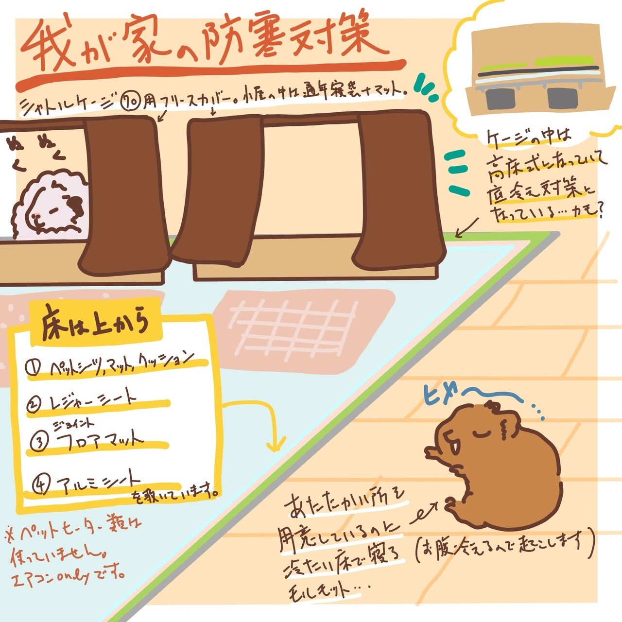 モルモットの防寒対策のお話｜Licht／小野りひと:モルモット