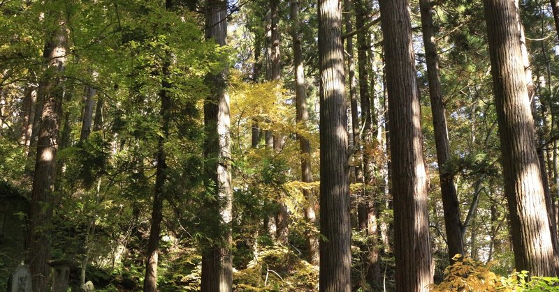 超算数 の新着タグ記事一覧 Note つくる つながる とどける