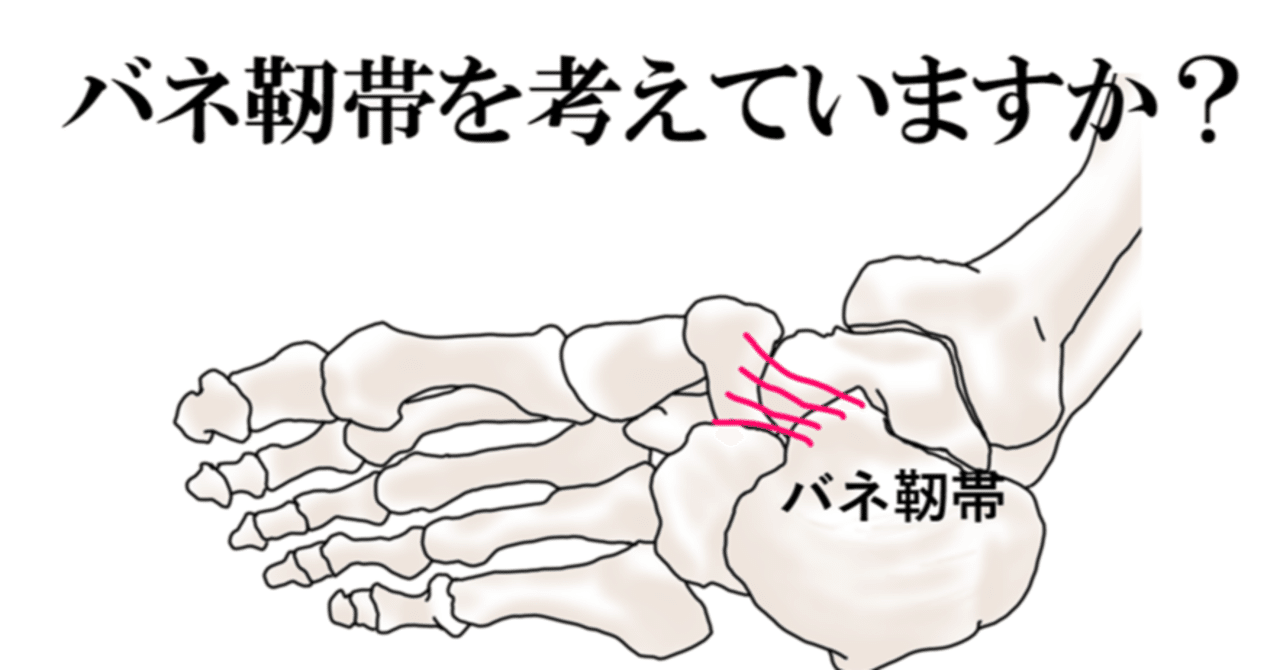バネ靭帯を考えていますか Y K Note