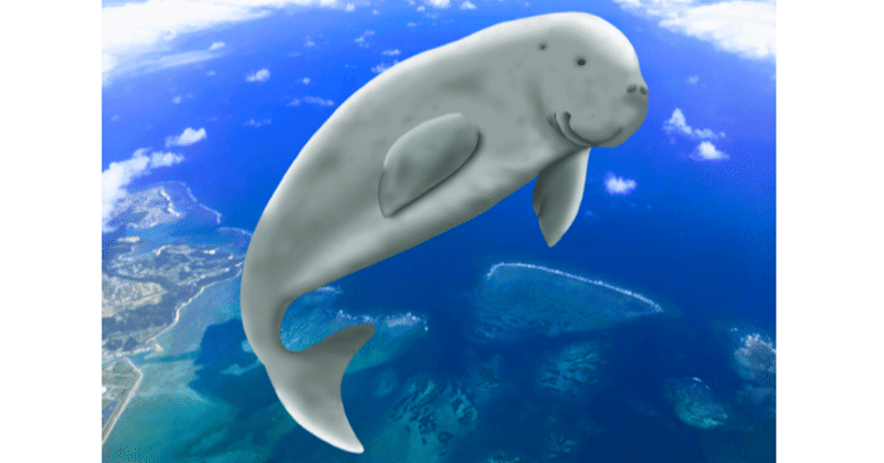ジュゴン 海の生物多様性保全のシンボル 久保田康裕 琉球大学理学部 久保田研究室 シンクネイチャー Note