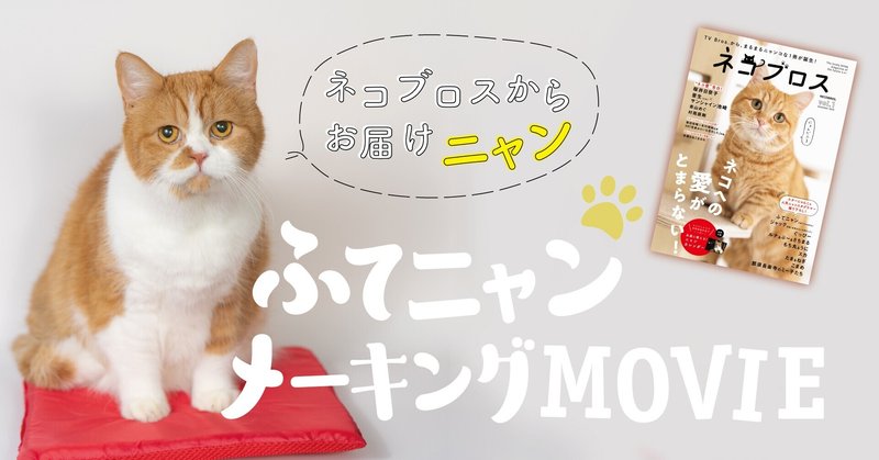 好感度ニャンバー1 ふてニャンこと春馬くんの素顔に迫る 前編だにゃ Tv Bros テレビブロス Note 好感度ニャンバー1 ふてニャンこと春馬くんの素顔に迫る 前編だにゃ Tv Bros テレビブロス Note