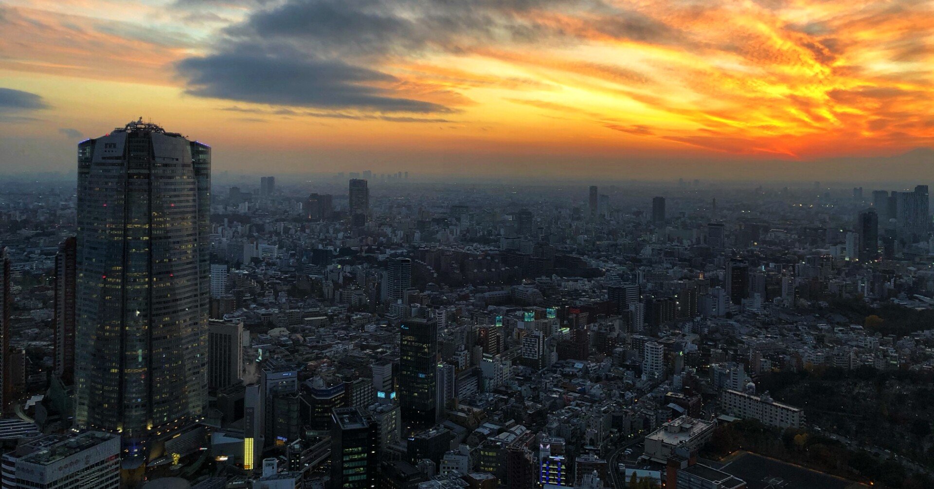 風景の変容 世界のるつぼ 他 基本セット2019 280枚＋トークン