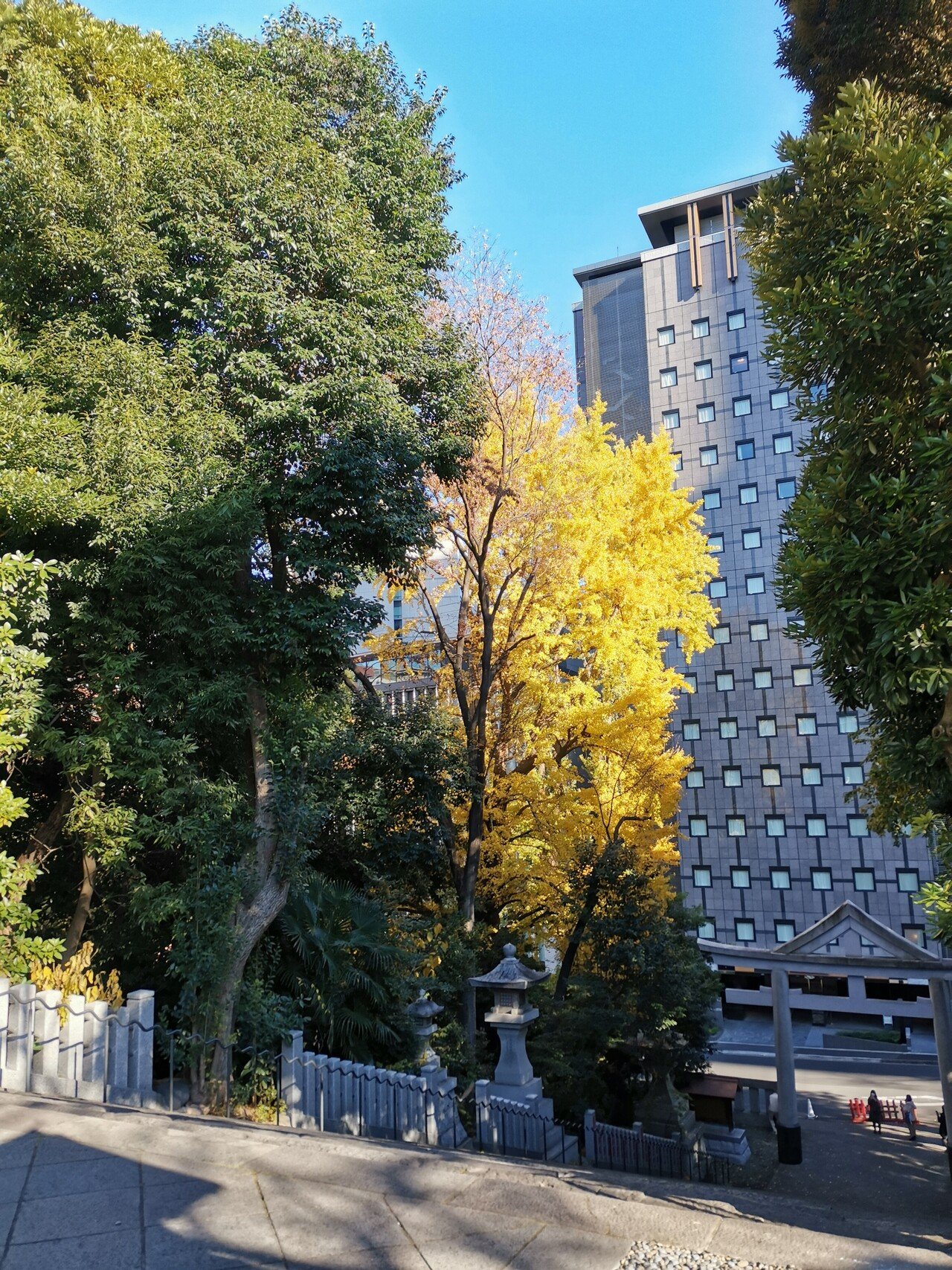 今年の神社の御札を返納する前に9009の車両ナンバーに遭遇 みなさん エンジェルナンバーご存知ですか 自分の最大限のパワーを惜しみなく使いなさいとのお告げ 双方ともにハッピーを目指す意味 あなたの使命 Mipoka Life Style Note 今年の神社の御札を返納する前に9009の車両ナンバーに遭遇 みなさん エンジェルナンバーご存知ですか 自分の最大限のパワーを惜しみなく使いなさいとのお告げ 双方ともにハッピーを目指す意味 あなたの使命 Mipoka Life Style Note