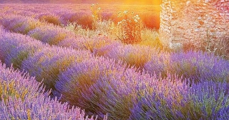 Mr Children ダーリン で繋がる しるし と Turn Over そして Documentary Film Yukinko Note