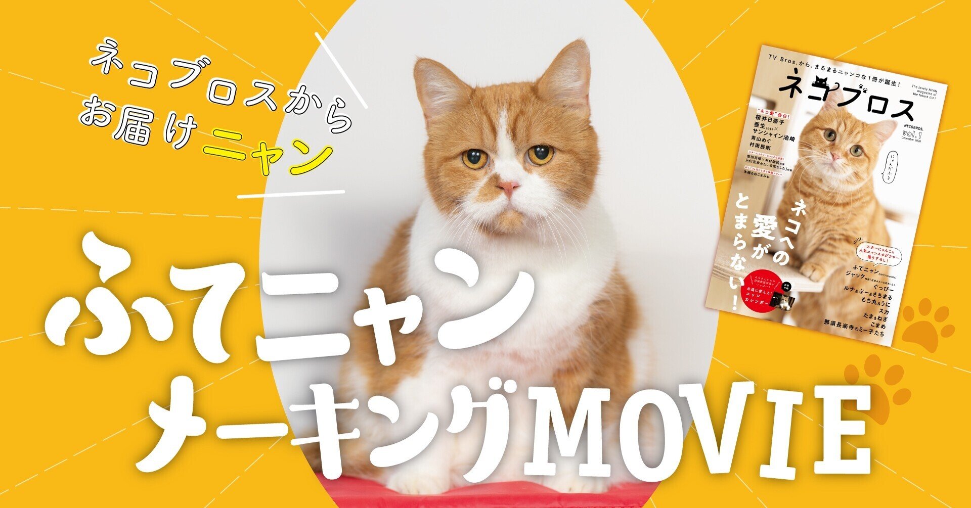 日本一有名なネコ ふてニャンこと春馬くんの素顔に迫る 後編だにゃ Tv Bros テレビブロス Note