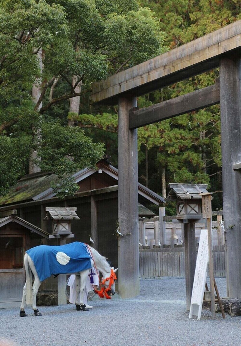 伊勢滞在記 興梠 優護 Kohrogi Yugo 伊勢市公式 クリエイターズ ワーケーション Note 伊勢滞在記 興梠 優護 Kohrogi Yugo 伊勢市公式 クリエイターズ ワーケーション Note