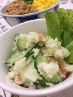 2月14日 夕食は鶏そぼろ丼 Michelle Note