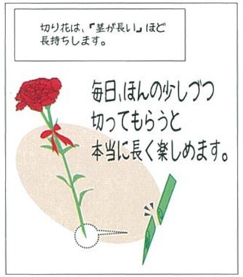 2011.5 POPの活用アイデア10-05