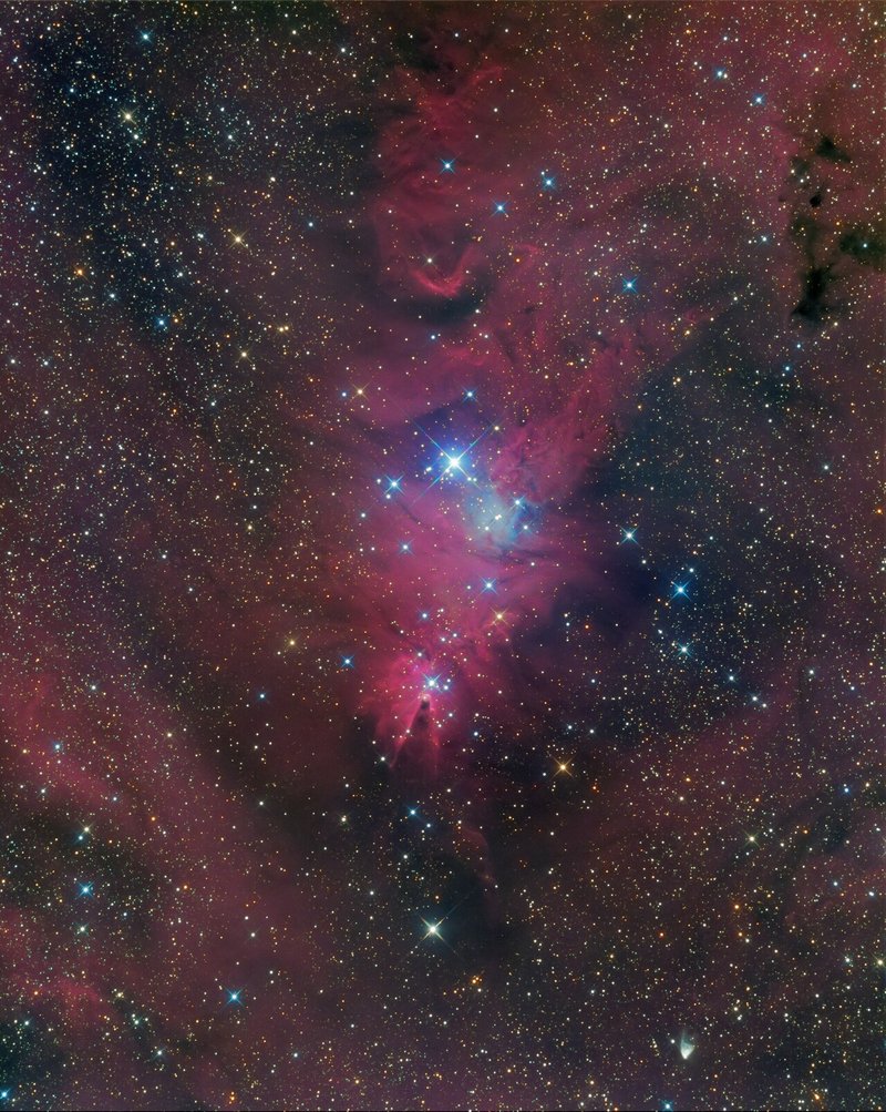 空を見上げればクリスマスツリーがあるよ クリスマスツリー星団とコーン星雲を撮影してみた 近江商人 Note