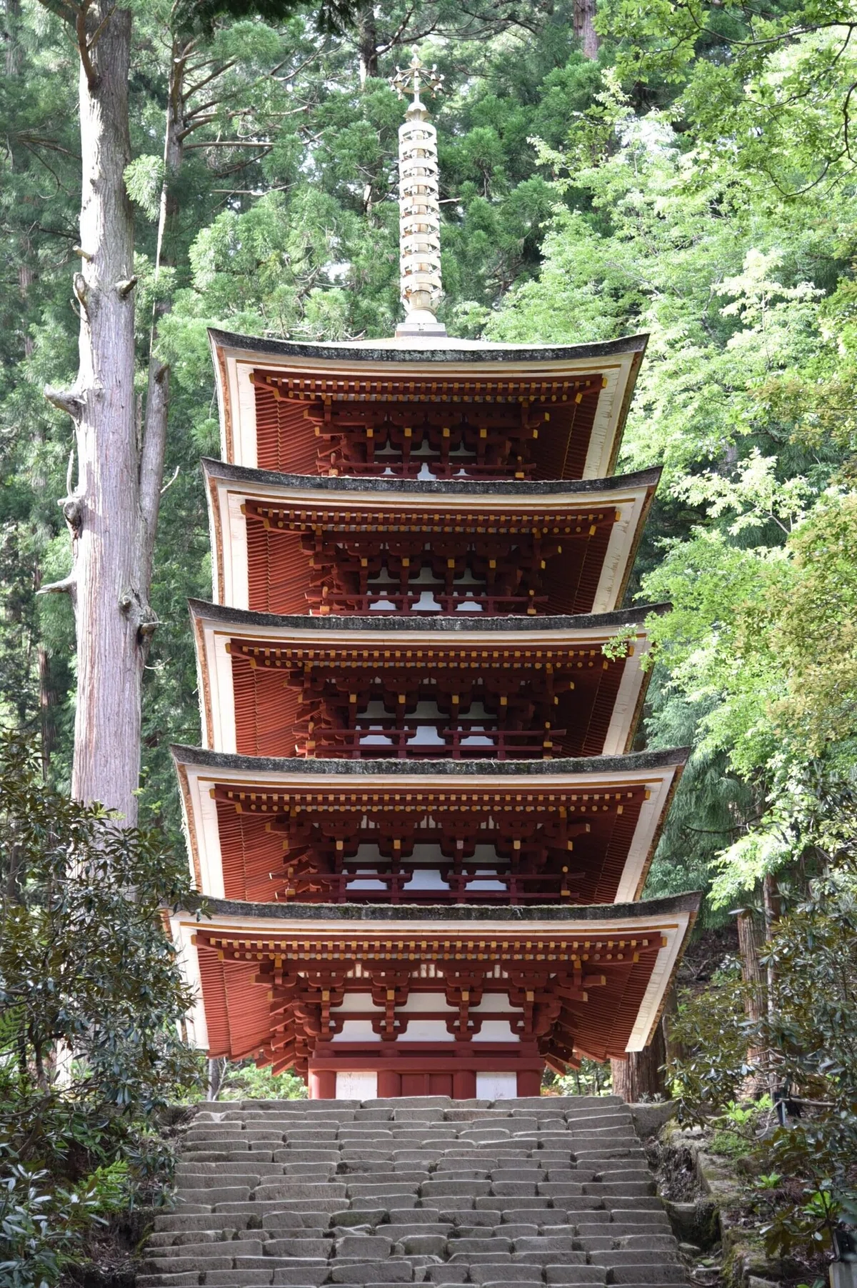 画像50