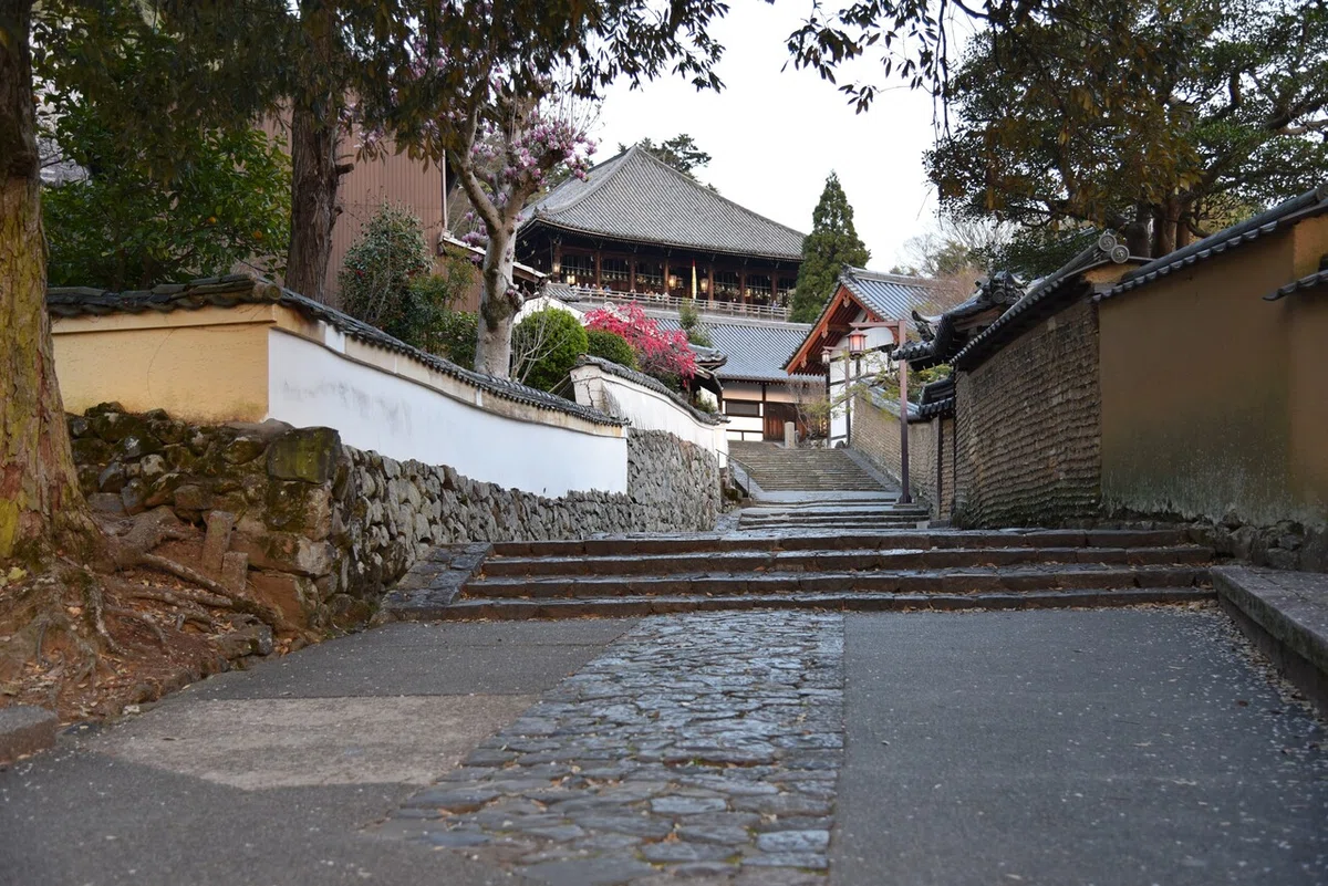 画像51