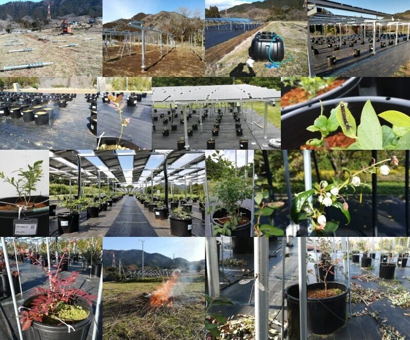 クローバーラブ様　確認用 手芸工具 『トレーサー 鉄筆タイプ 21083』 Clover クロバー 手芸,刺繍