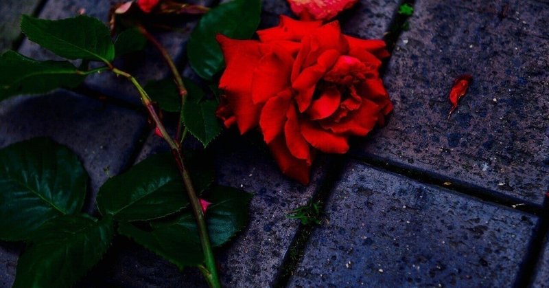 自己愛がある人は嘘をつき続け 自己愛がない人間は人の悪口を言う kenneth mizukami 水上謙 note