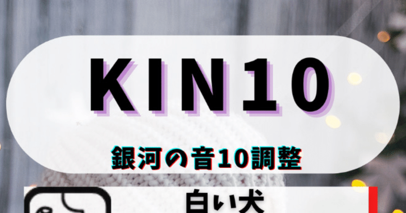 KIN10 極性キン