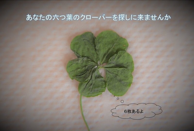 六つ葉のクローバー さがみこファーム Note 六つ葉のクローバー さがみこファーム Note