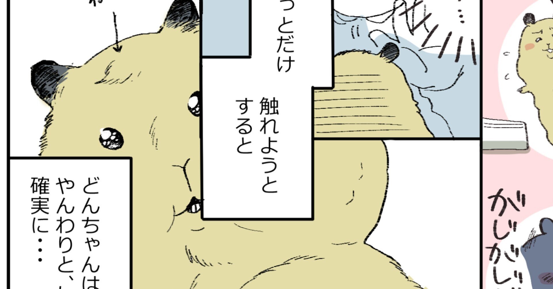 ハムスター2匹 それぞれかわいい 百田ちなこ Note ハムスター2匹 それぞれかわいい 百田ちなこ Note