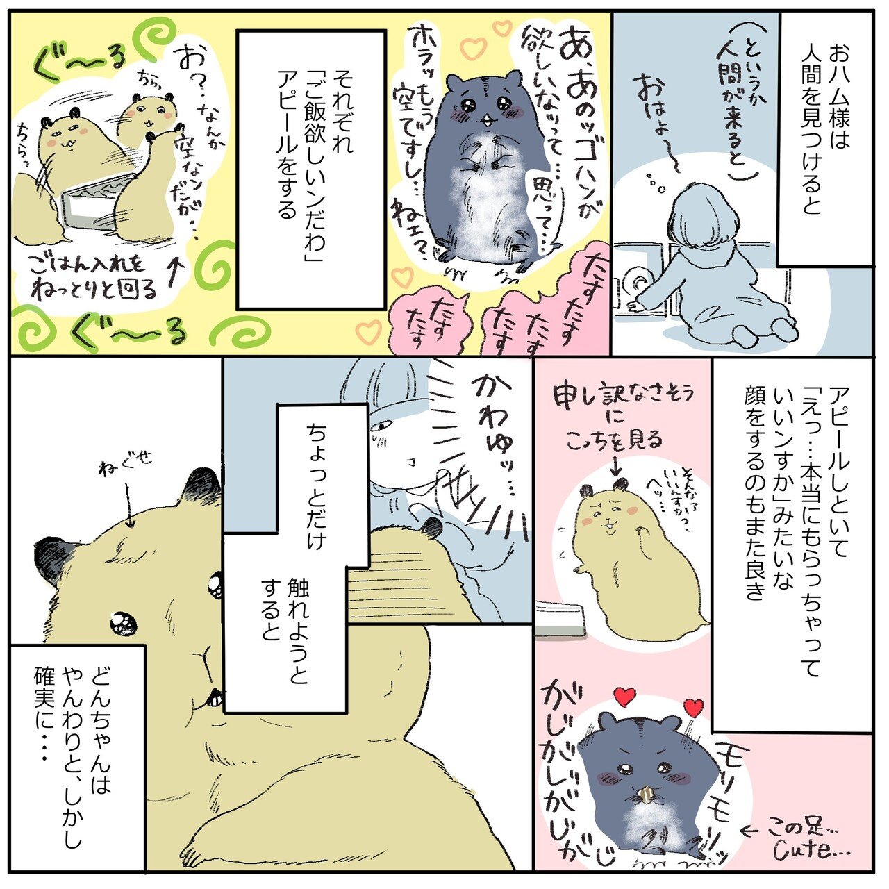 ハムスター2匹 それぞれかわいい 百田ちなこ Note ハムスター2匹 それぞれかわいい 百田ちなこ Note