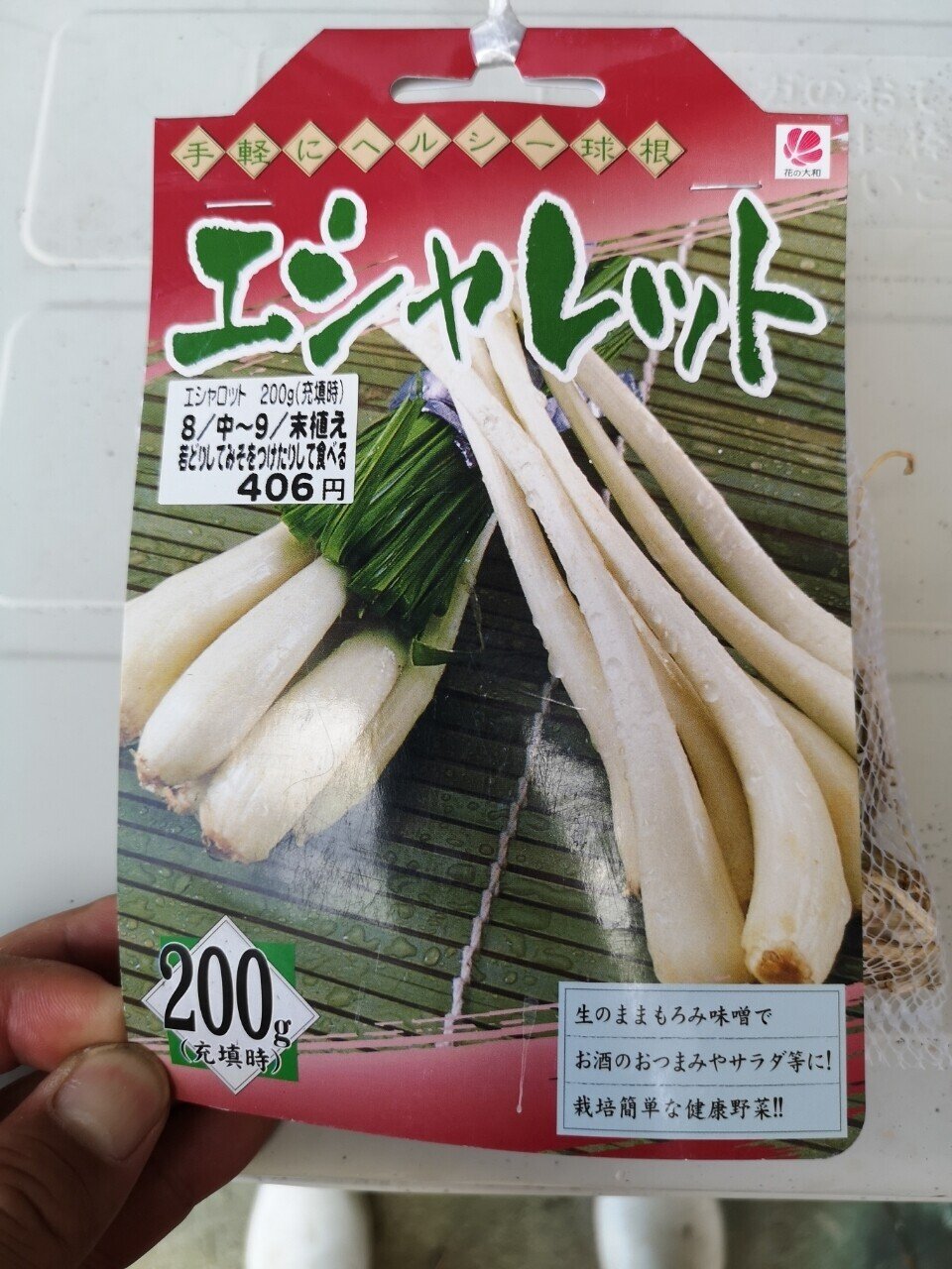 エシャロット栽培の様子 21 1 15更新 廣瀬 俊治 のんびり農園 Note