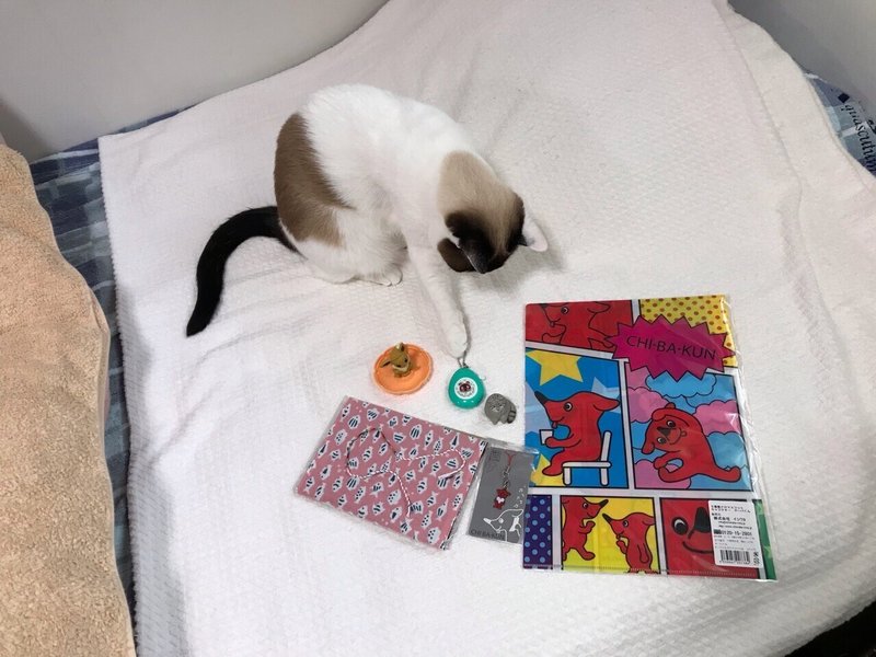 名探偵ぶたぶた カバー画像が届きました 矢崎存美 Note