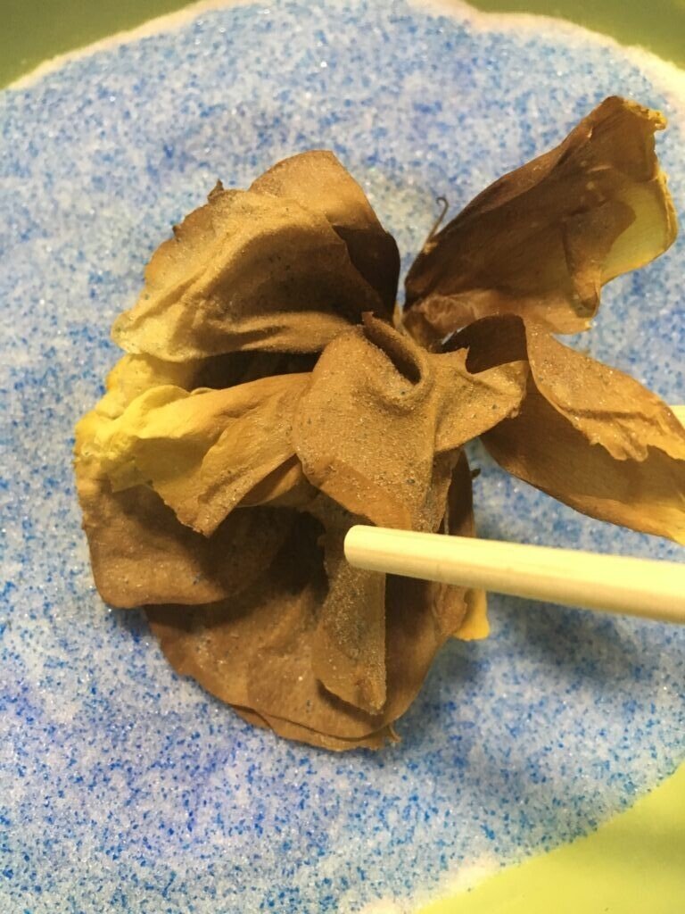 シリカゲルで色鮮やかなドライフラワー作り ごまたん Note シリカゲルで色鮮やかなドライフラワー作り ごまたん Note