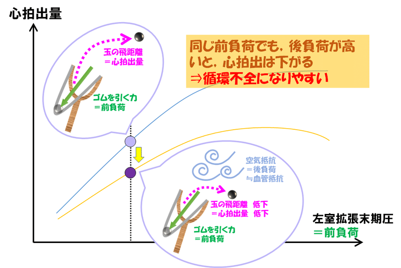 シナリオ クリニカル