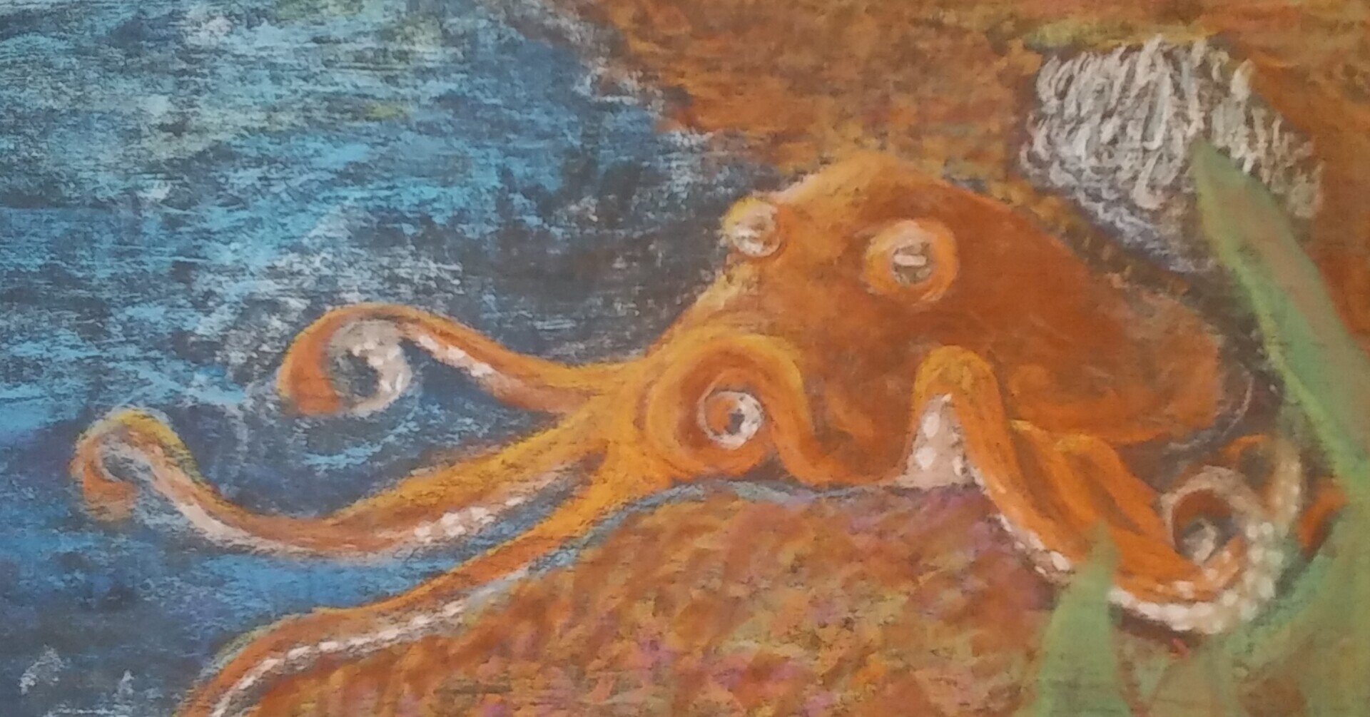 子ども】動物学①いろんな人の助けを借りて｜神戸シュタイナーハウス