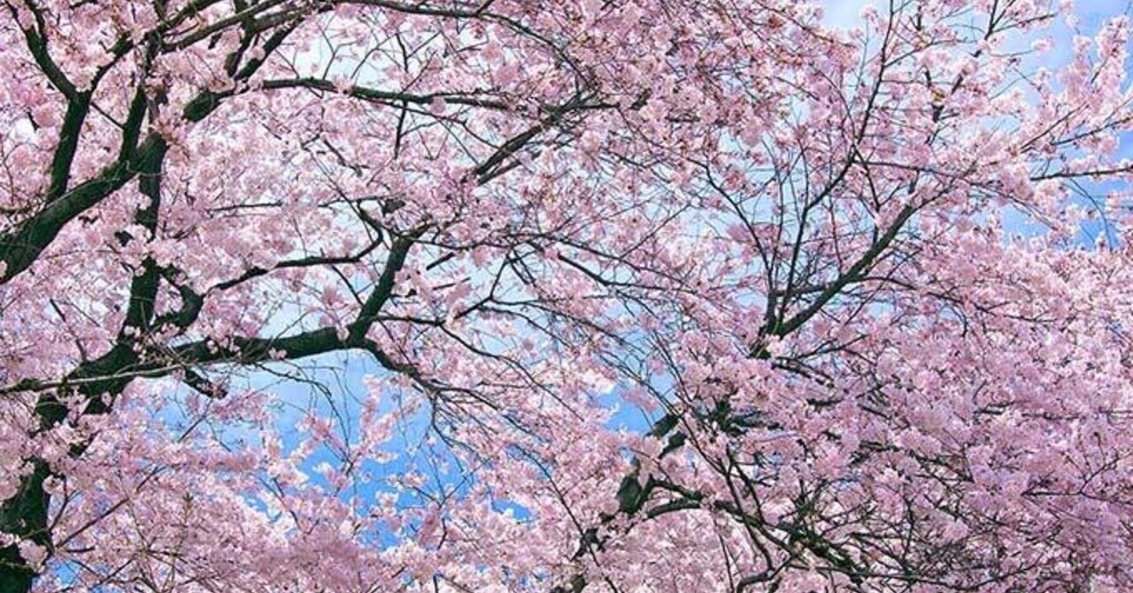 鬼滅の刃 最終回について カナタ と 燈子 と 青葉 の性格 裏紙 note