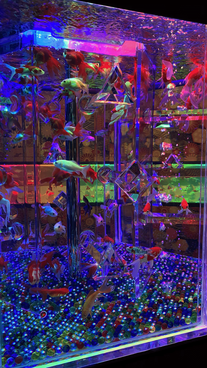 12 24 歳 独りクモe4 600を追う 種田さん Note