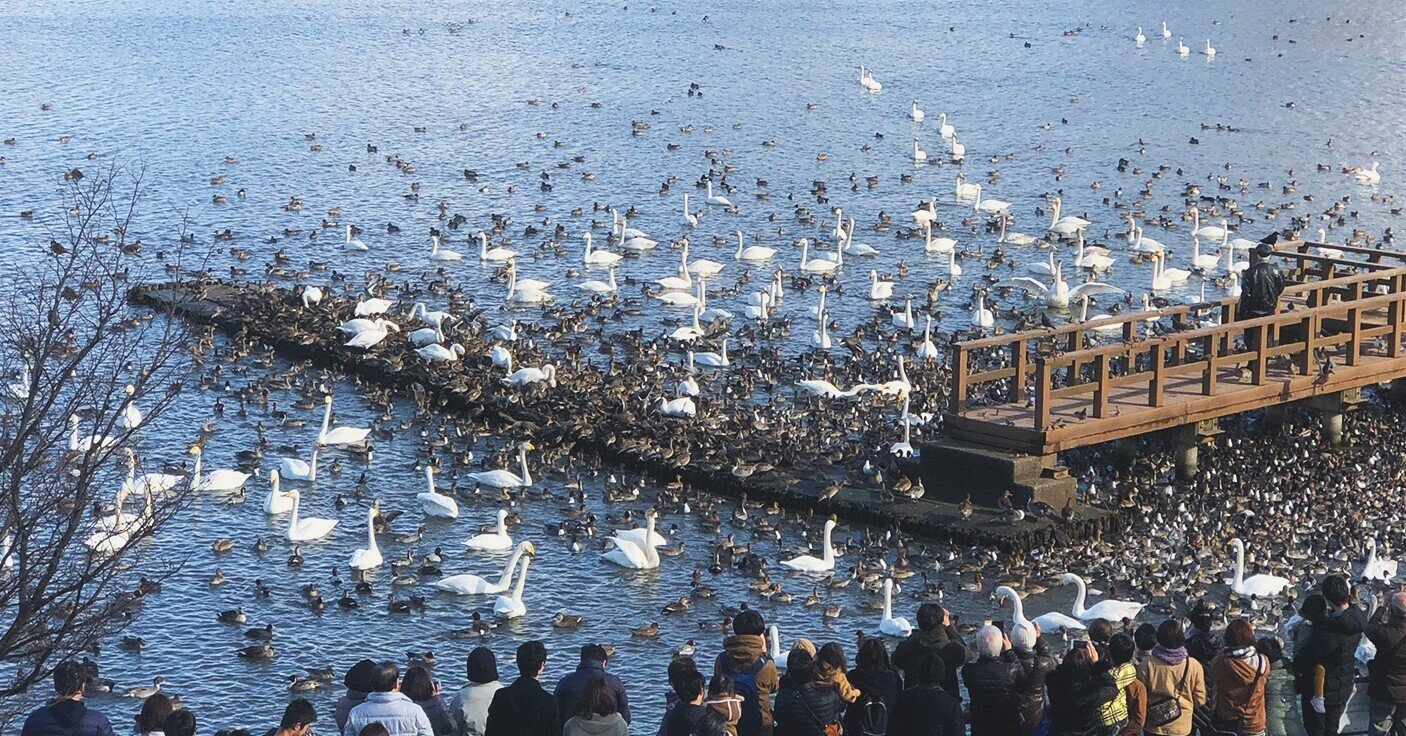 小林よしのり「コロナ論 2」｜猪浦直樹