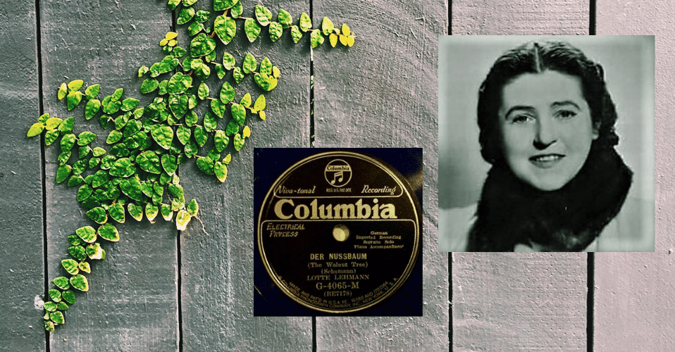 78rpmはともだち #21～ロッテ・レーマン シューマン『くるみの木