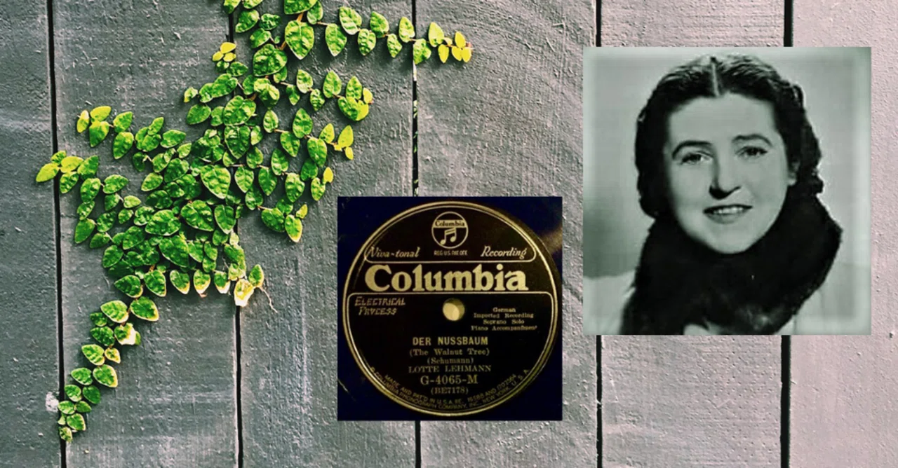 ロッテ・レーマン　acoustic recordings:1914~26 ロッテ・レーマン acoustic recordings:1914~26 【公式通販】 クラシック