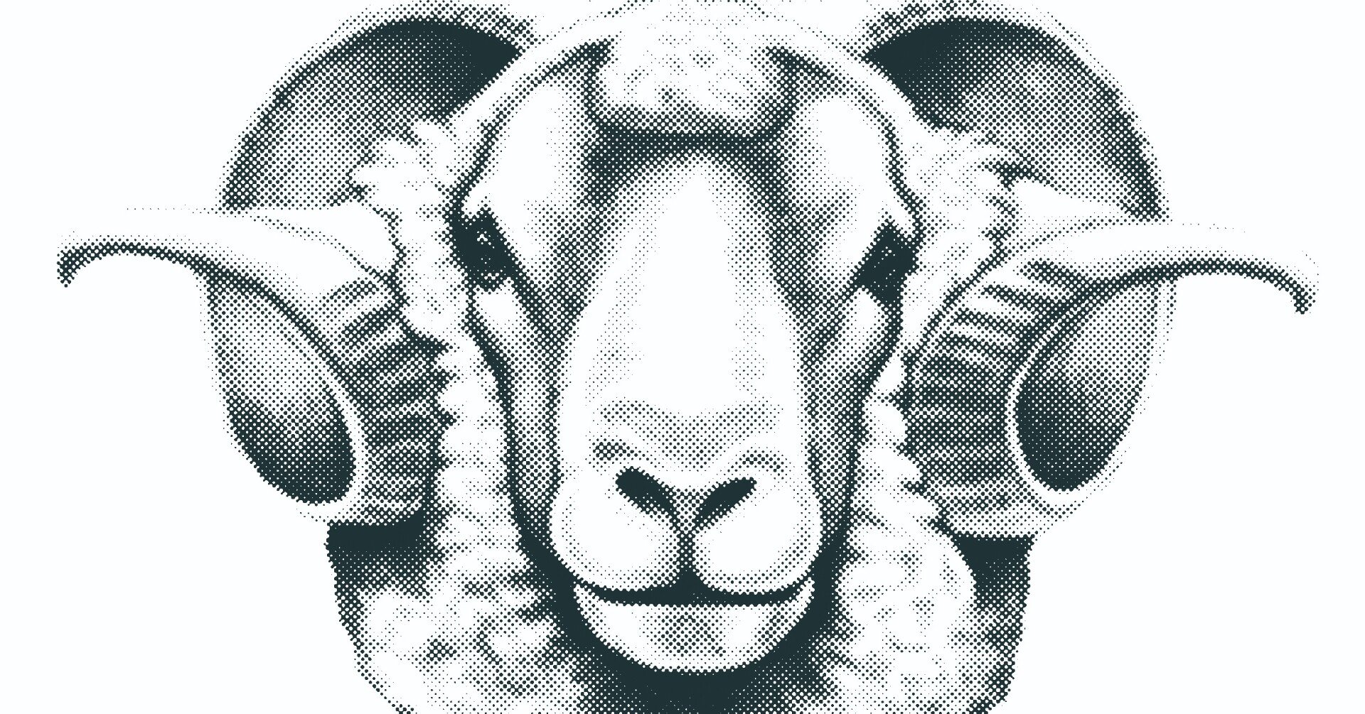 羊 イラスト リアル