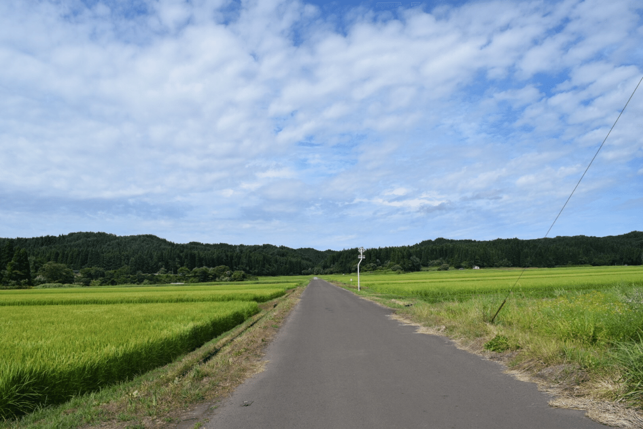 田舎が1番落ち着きます 陽 よう 1人旅がスキ Note