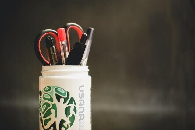 幼稚園受験 日本女子大学附属豊明幼稚園 願書の書き方 面接内容 試験内容まとめ 絶対合格 お受験情報 Note